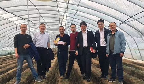 Conduct a Market Survey of Ginger together with Experts from JCAM AGRI. CO., LTD.
