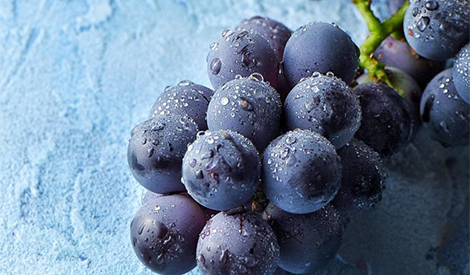 Effect of Meister (Compound Fertilizer) and Tian Zhi Yang 482 on Grape