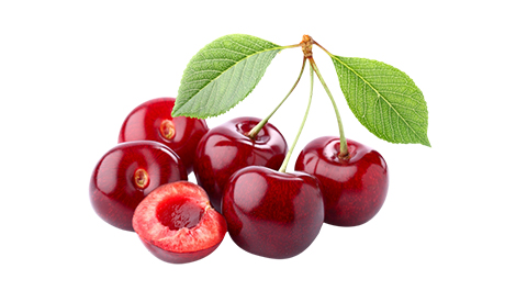 Effect of Meister (Compound Fertilizer) on Cherry