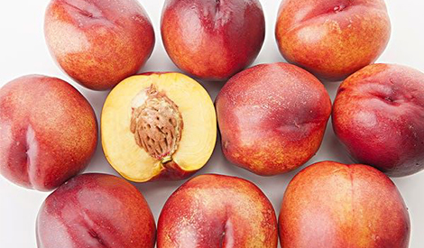 Effect of HB-101 on Peach
