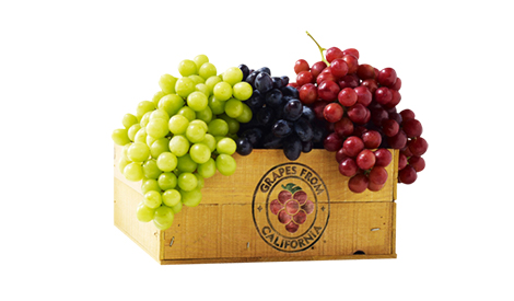 Effect of Haidel Nutrition Program on Grape 2