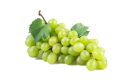 Effect of Duo Bu and Meister (Compound Fertilizer) on Grape