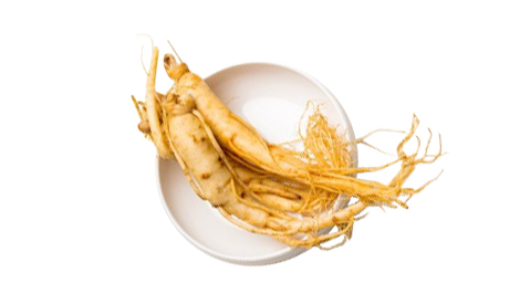 Effect of Meister on American Ginseng